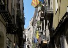 IMG 2690a
