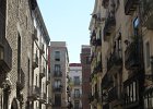 IMG 3806