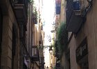 IMG 3810