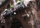 IMG 3813