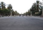 IMG 3756