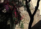 IMG 3859a