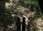 IMG 3860