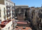 IMG 2624