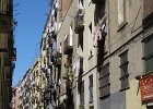 IMG 3853