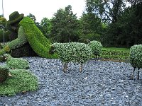 IMG 8617a