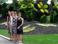 IMG 8745b