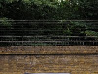 IMG 0530a