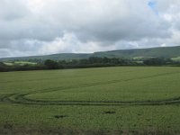 IMG 3350