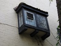 IMG 6599
