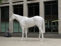 IMG 0626