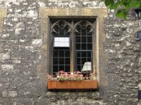 IMG 0776