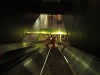 IMG 2913