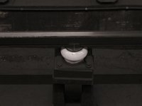 IMG 2558
