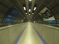 IMG 3294