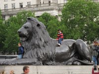 IMG 0665