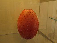 IMG 6787