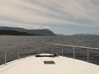 IMG 0040