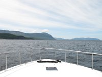 IMG 0041