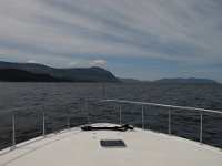 IMG 0042