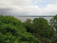 IMG 8537