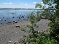 Marée basse.