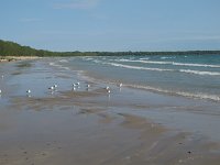 On the beach.