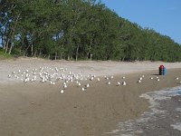 IMG 9688
