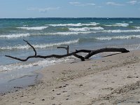 IMG 9767