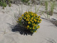IMG 9770