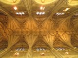 IMG_0021.JPG