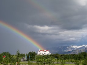 IMG_9479r