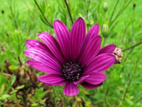 IMG_9268r