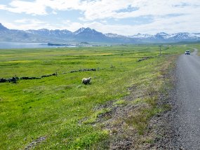 IMG_8181r