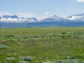 IMG_8298r
