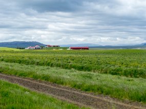 IMG_5993r