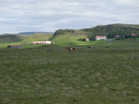 IMG_6000r