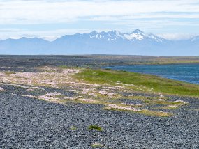 IMG_7894r Hvalnes