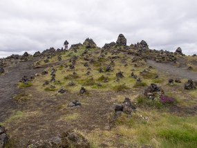 IMG_7194r