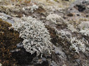 IMG_7205r