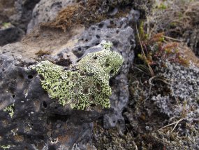 IMG_7208r