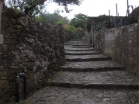 IMG_6377