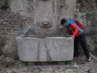IMG_7382