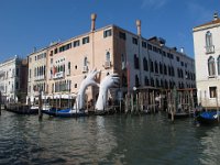 IMG_5160