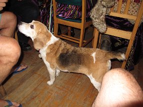 IMG_0138