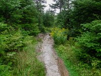 IMG_3449r