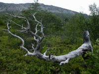 IMG_2672r