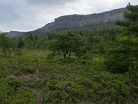 IMG_2678r