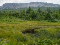 IMG_2681r
