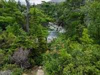 IMG_2682r